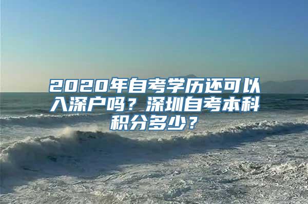 2020年自考学历还可以入深户吗？深圳自考本科积分多少？