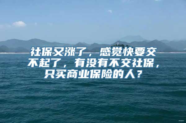 社保又涨了，感觉快要交不起了，有没有不交社保，只买商业保险的人？