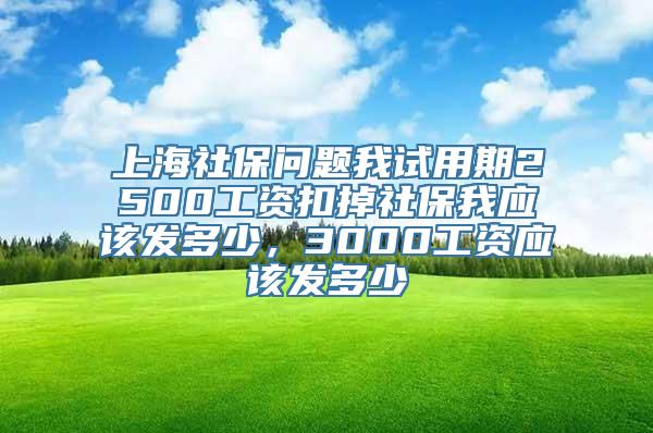 上海社保问题我试用期2500工资扣掉社保我应该发多少，3000工资应该发多少