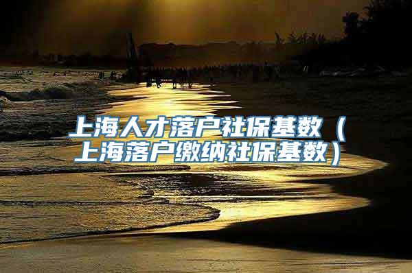 上海人才落户社保基数（上海落户缴纳社保基数）