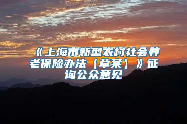 《上海市新型农村社会养老保险办法（草案）》征询公众意见