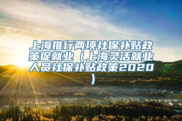 上海推行两项社保补贴政策促就业（上海灵活就业人员社保补贴政策2020）