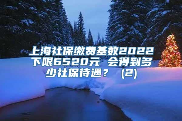 上海社保缴费基数2022下限6520元 会得到多少社保待遇？ (2)