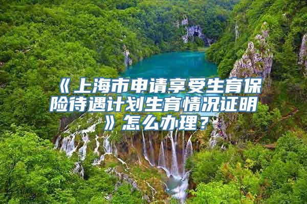 《上海市申请享受生育保险待遇计划生育情况证明》怎么办理？