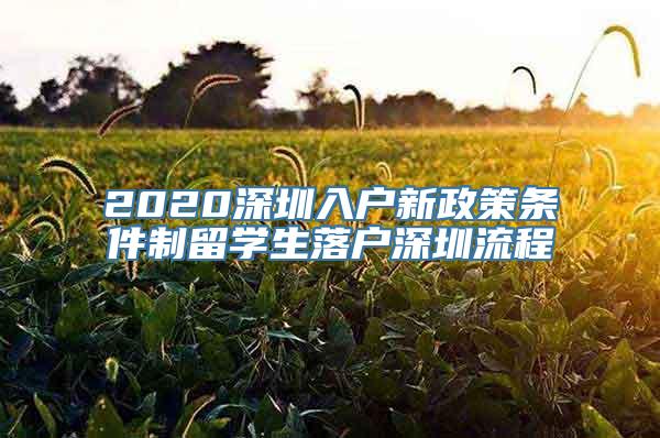 2020深圳入户新政策条件制留学生落户深圳流程