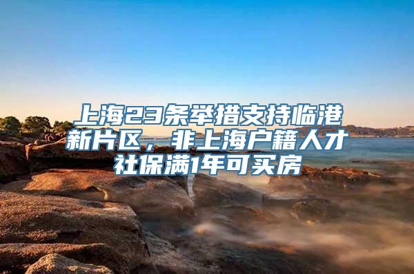 上海23条举措支持临港新片区，非上海户籍人才社保满1年可买房