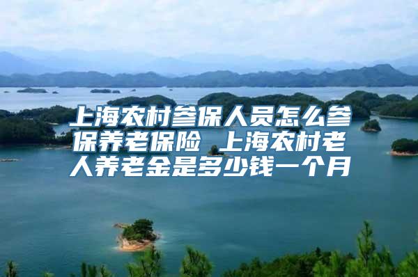 上海农村参保人员怎么参保养老保险 上海农村老人养老金是多少钱一个月