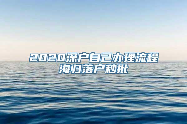 2020深户自己办理流程海归落户秒批