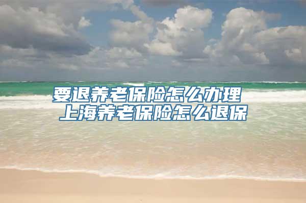 要退养老保险怎么办理 上海养老保险怎么退保