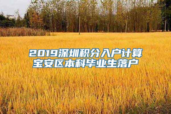 2019深圳积分入户计算宝安区本科毕业生落户