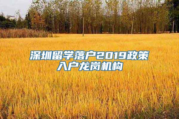 深圳留学落户2019政策入户龙岗机构