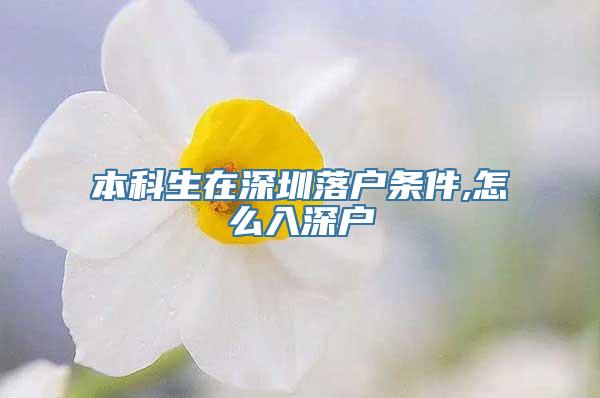 本科生在深圳落户条件,怎么入深户