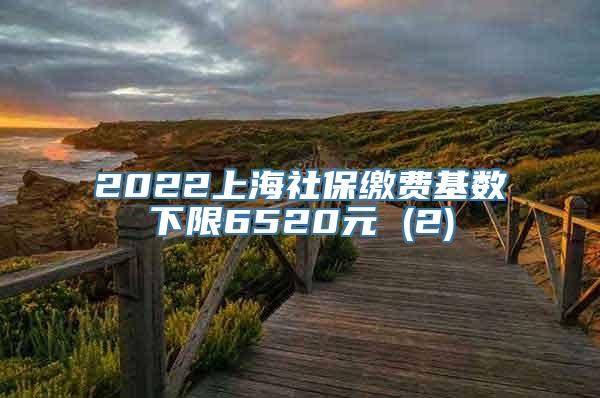 2022上海社保缴费基数下限6520元 (2)