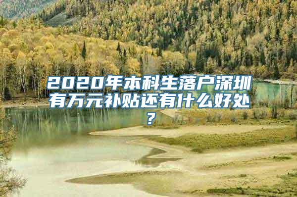 2020年本科生落户深圳有万元补贴还有什么好处？