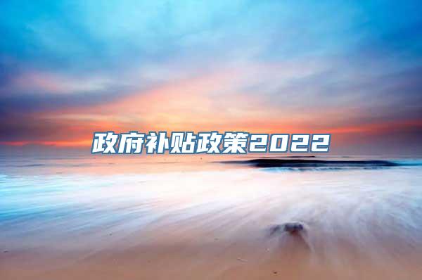 政府补贴政策2022