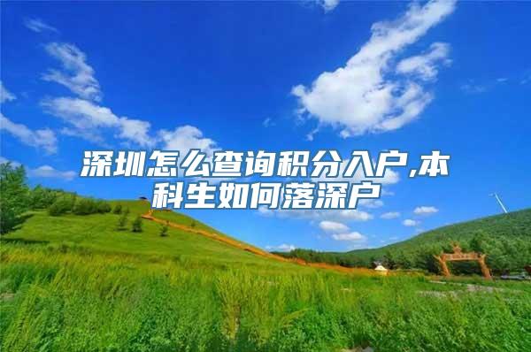 深圳怎么查询积分入户,本科生如何落深户