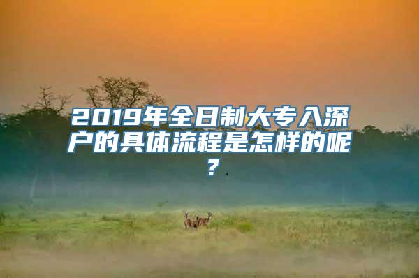 2019年全日制大专入深户的具体流程是怎样的呢？