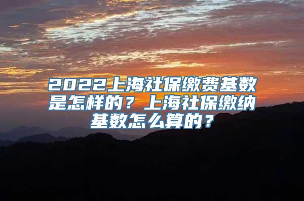 2022上海社保缴费基数是怎样的？上海社保缴纳基数怎么算的？