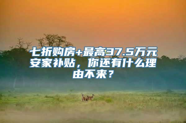 七折购房+最高37.5万元安家补贴，你还有什么理由不来？