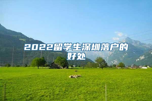 2022留学生深圳落户的好处