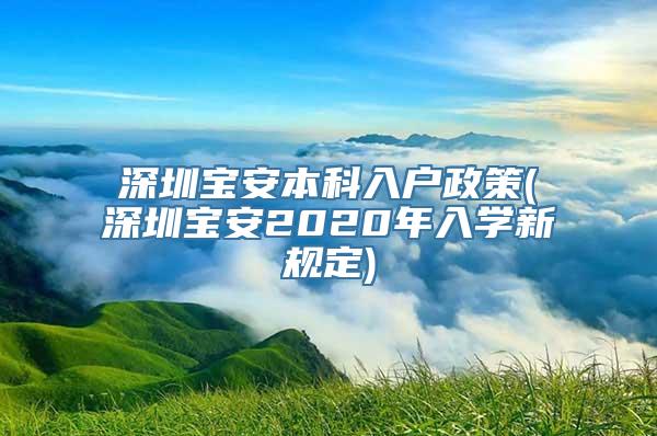 深圳宝安本科入户政策(深圳宝安2020年入学新规定)