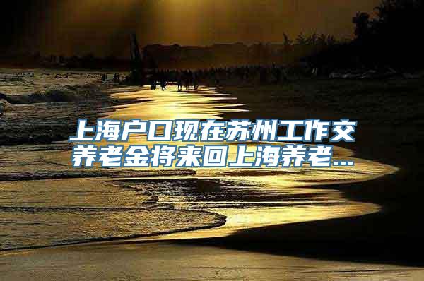 上海户口现在苏州工作交养老金将来回上海养老...