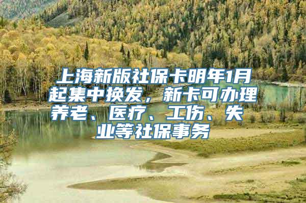 上海新版社保卡明年1月起集中换发，新卡可办理养老、医疗、工伤、失 业等社保事务