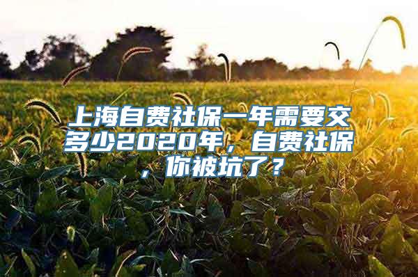 上海自费社保一年需要交多少2020年，自费社保，你被坑了？