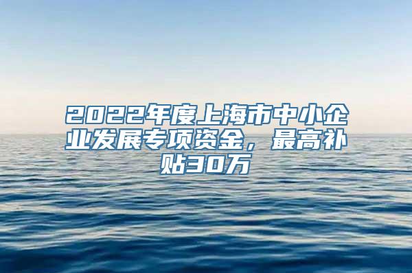 2022年度上海市中小企业发展专项资金，最高补贴30万