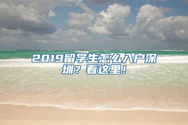 2019留学生怎么入户深圳？看这里！