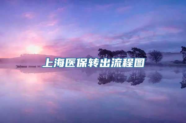 上海医保转出流程图