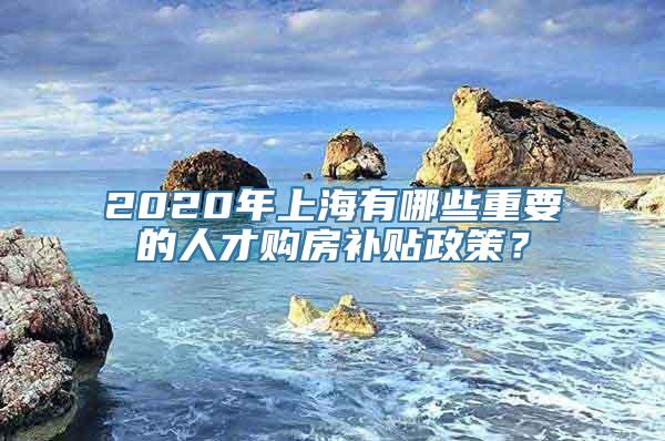 2020年上海有哪些重要的人才购房补贴政策？