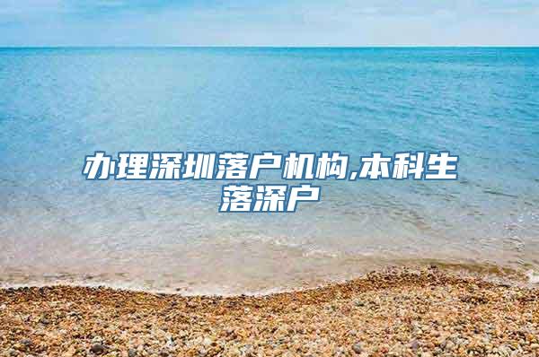 办理深圳落户机构,本科生落深户