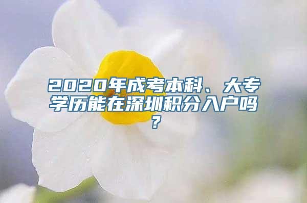 2020年成考本科、大专学历能在深圳积分入户吗？