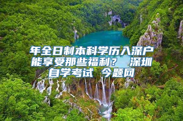 年全日制本科学历入深户能享受那些福利？ 深圳自学考试 今题网