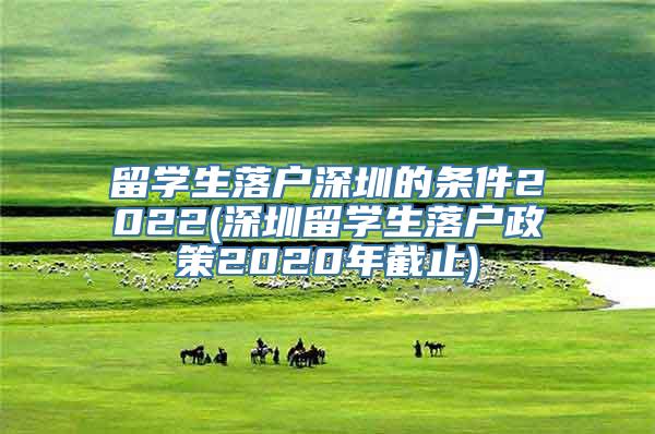 留学生落户深圳的条件2022(深圳留学生落户政策2020年截止)