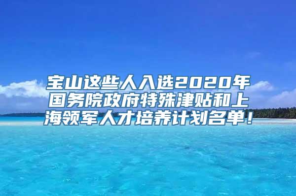 宝山这些人入选2020年国务院政府特殊津贴和上海领军人才培养计划名单！