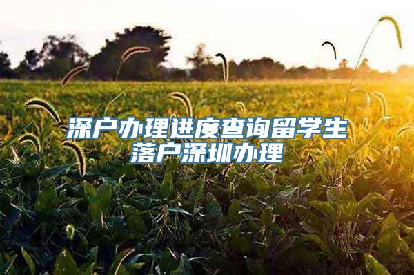 深户办理进度查询留学生落户深圳办理