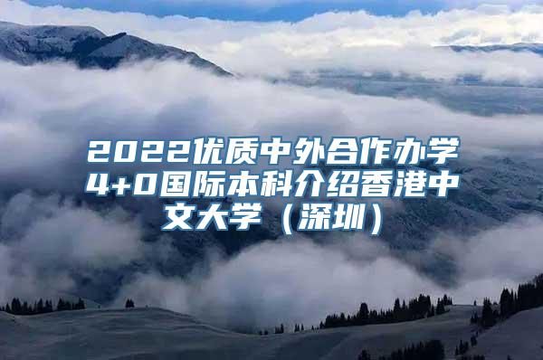 2022优质中外合作办学4+0国际本科介绍香港中文大学（深圳）