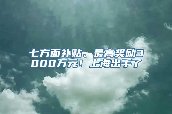 七方面补贴、最高奖励3000万元！上海出手了