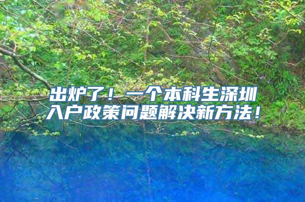 出炉了！一个本科生深圳入户政策问题解决新方法！