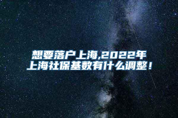 想要落户上海,2022年上海社保基数有什么调整！