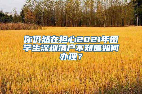 你仍然在担心2021年留学生深圳落户不知道如何办理？