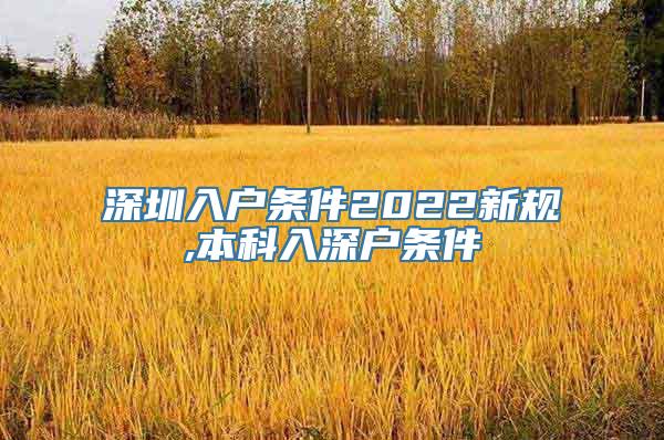 深圳入户条件2022新规,本科入深户条件