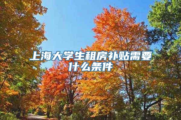 上海大学生租房补贴需要什么条件