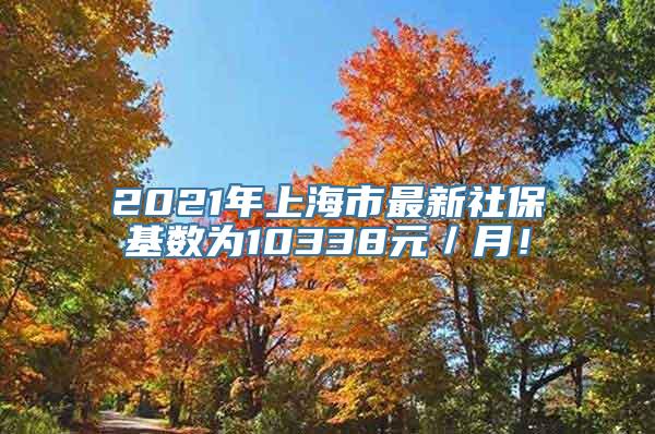 2021年上海市最新社保基数为10338元／月！