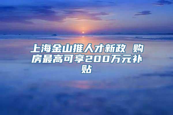 上海金山推人才新政 购房最高可享200万元补贴