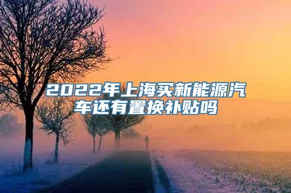 2022年上海买新能源汽车还有置换补贴吗