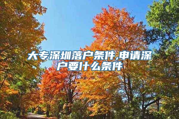 大专深圳落户条件,申请深户要什么条件