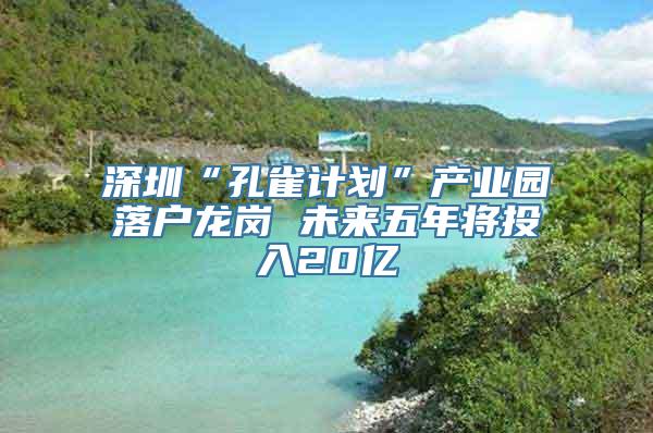 深圳“孔雀计划”产业园落户龙岗 未来五年将投入20亿